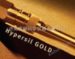Hypersil GOLD SAX HPLC 分析色谱柱，3um 粒度