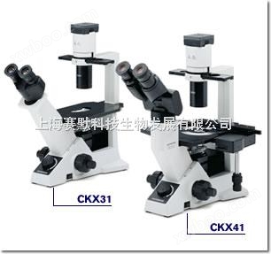 日本奥林巴斯临床级荧光倒置显微镜CKX41-32FL 价格实在