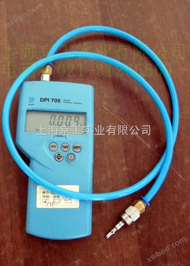 压力指示仪DPI705