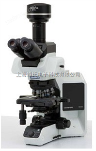 奥林巴斯BX-53研究级生物显微镜
