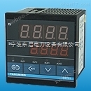 单相智能数显电流电压组合表XYDW110