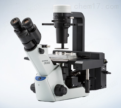 日本奥林巴斯CKX53倒置显微镜 三目 LED光源