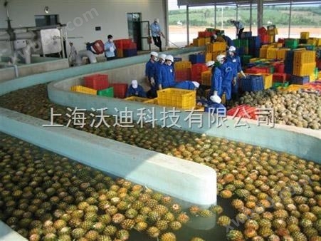 沃迪装备Triowin工业型整厂适用芒果菠萝加工设备/芒果汁菠萝汁生产线