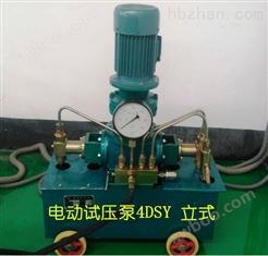 立式电动试压泵