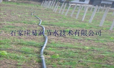 荆门市花卉滴灌厂家|出售优质PE滴灌管