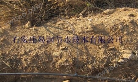 盐边县果园节水灌溉价格_小管出流报价
