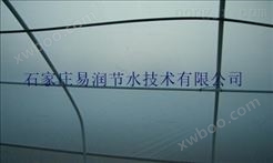 邢台新河县微喷设备中标面积3600亩|雾化微喷头