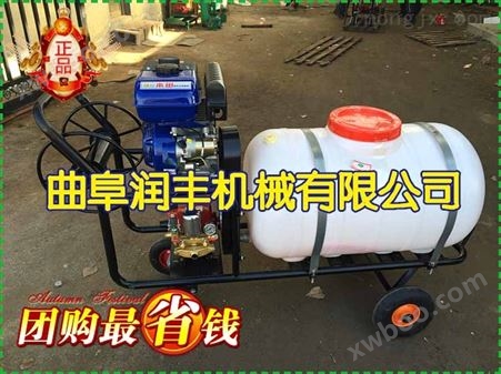 绍兴县塑料大棚喷雾机 带药桶喷雾器