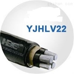 佰汇电缆YJHLV22铝合金电缆
