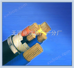 供应SYV23 铠装同轴电缆;铠装同轴电缆 SYV23-河南