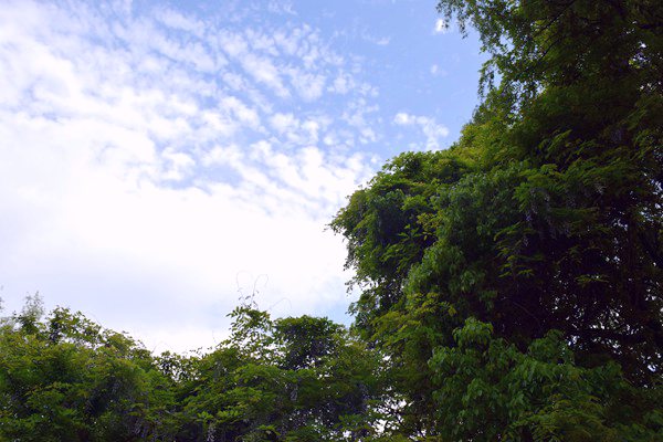 涵盖化工环保、新能源等热门行业，点击查收一批投资意向需求！