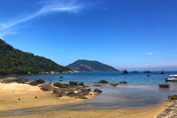 关于召开中国纺织机械协会纺织仪器分会2025年年会的通知